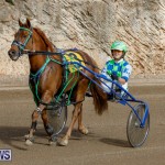 Harness Pony Racing Bermuda, December 26 2017-8410