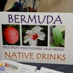 Home-Grown Alternatives Show Bermuda, December 2 2017_2982