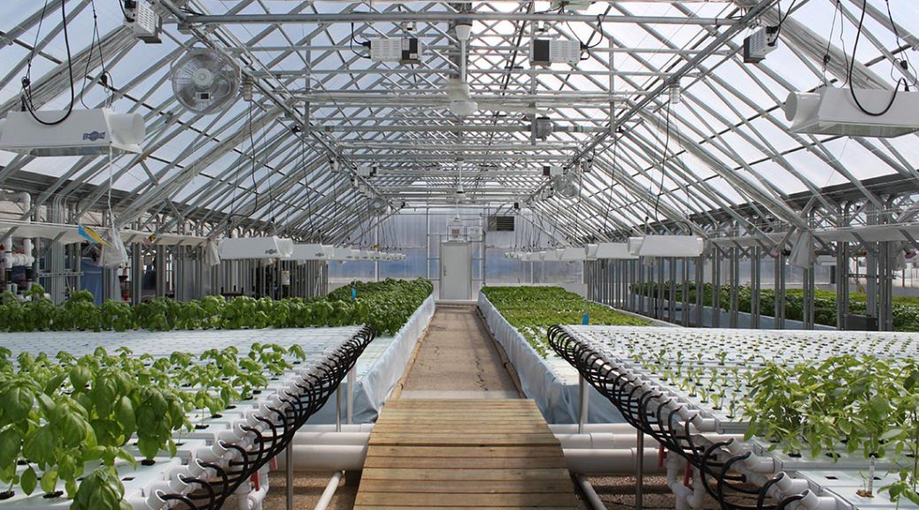 Aquaponics australia fish Upward Farms Expands Aquaponic Offering, Partners With Greenpoint Fish and Lobster for New York Distribution