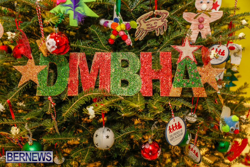 dmbha Charity-Christmas-Tree-Event-Washington-Mall-Bermuda-December-11-2017-4463