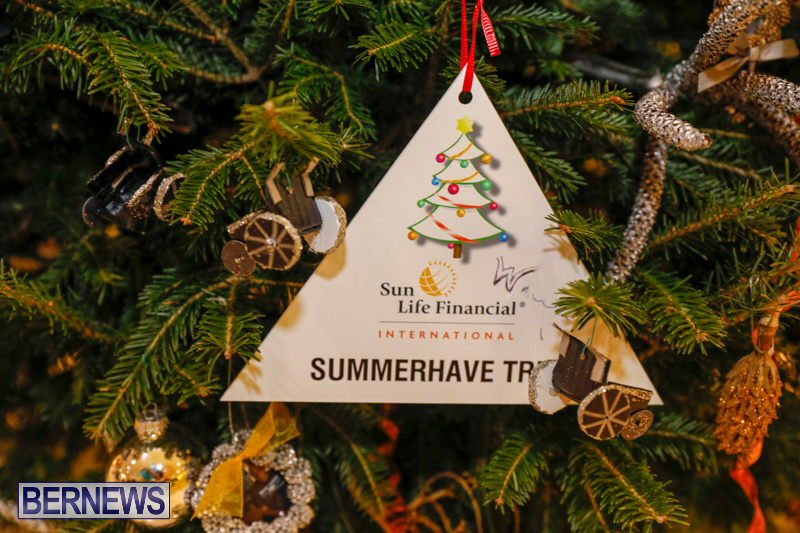 summerhaven Charity-Christmas-Tree-Event-Washington-Mall-Bermuda-December-11-2017-4478