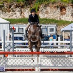 Auto Solutions RES Spring Show Bermuda, January 21 2018-4806
