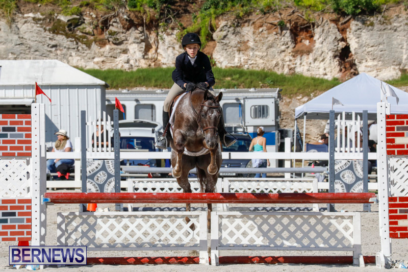 Auto-Solutions-RES-Spring-Show-Bermuda-January-21-2018-4806