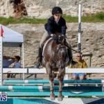 Auto Solutions RES Spring Show Bermuda, January 21 2018-4834