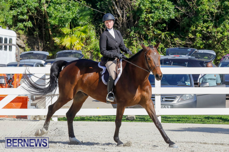 Auto-Solutions-RES-Spring-Show-Bermuda-January-21-2018-5015