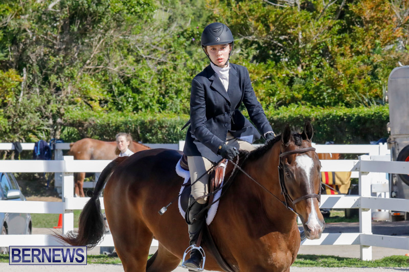 Auto-Solutions-RES-Spring-Show-Bermuda-January-21-2018-5023