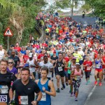 Bermuda Marathon Weekend 10K Race, January 13 2018-3861