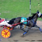 Harness Pony Racing Bermuda Jan 17 2018 (10)