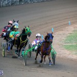 Harness Pony Racing Bermuda Jan 17 2018 (5)