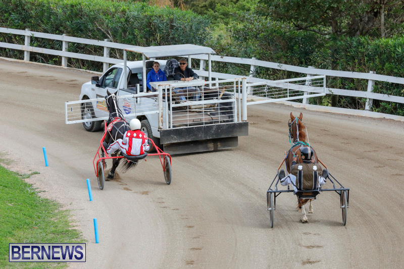 Harness-Pony-Racing-Bermuda-January-28-2018-6303