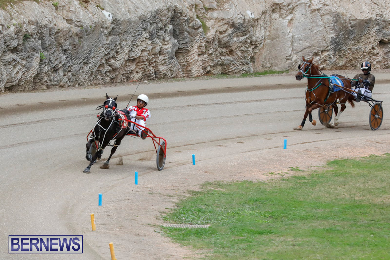 Harness-Pony-Racing-Bermuda-January-28-2018-6308