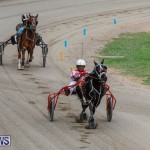 Harness Pony Racing Bermuda, January 28 2018-6311