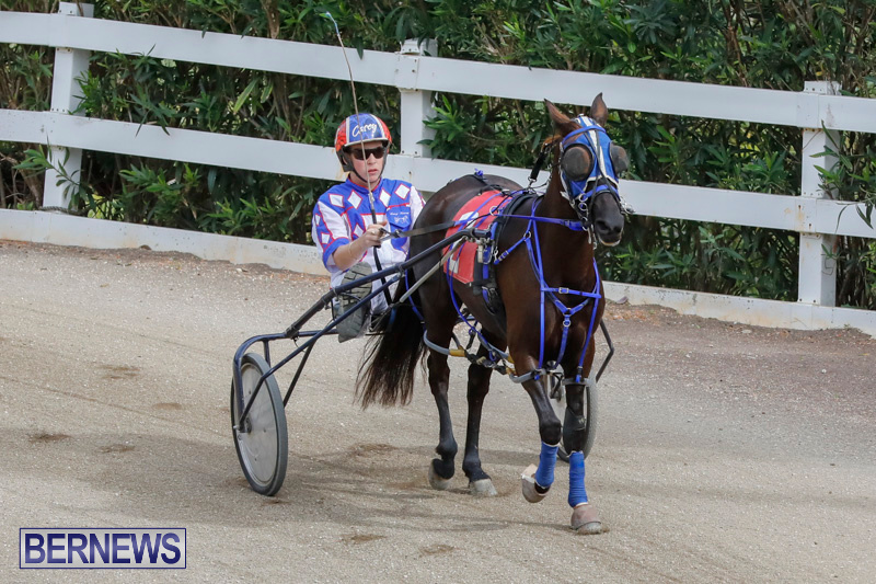 Harness-Pony-Racing-Bermuda-January-28-2018-6350