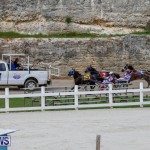 Harness Pony Racing Bermuda, January 28 2018-6374