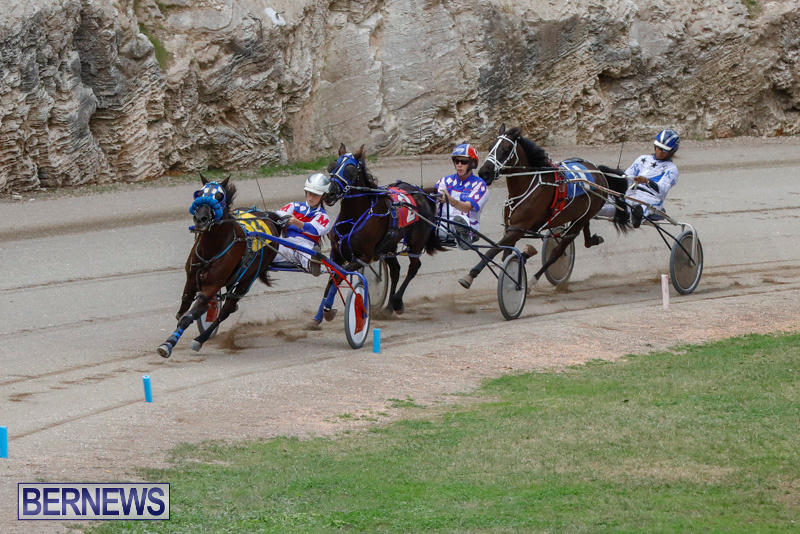 Harness-Pony-Racing-Bermuda-January-28-2018-6397