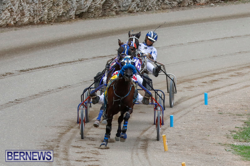 Harness-Pony-Racing-Bermuda-January-28-2018-6401