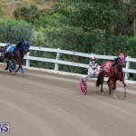 Harness Pony Racing Bermuda, January 28 2018-6431