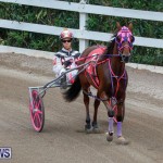 Harness Pony Racing Bermuda, January 28 2018-6433