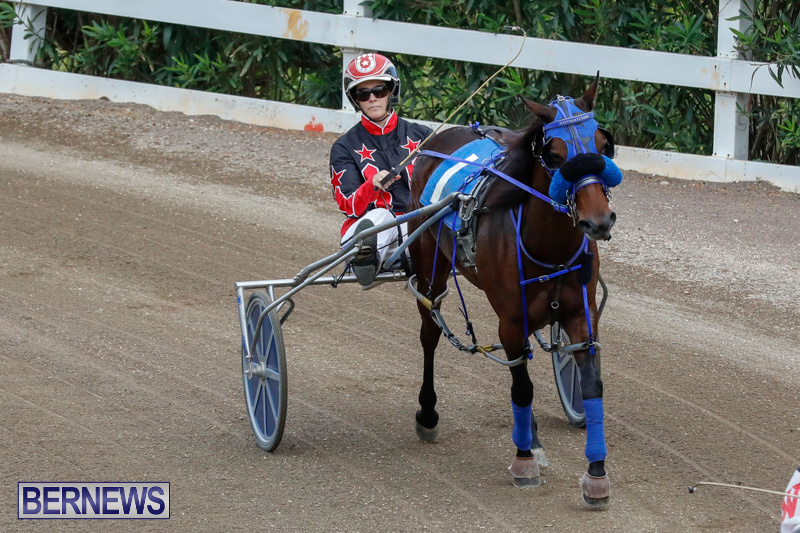 Harness-Pony-Racing-Bermuda-January-28-2018-6437