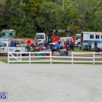 Harness Pony Racing Bermuda, January 28 2018-6454