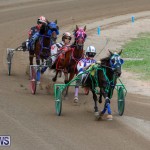 Harness Pony Racing Bermuda, January 28 2018-6463