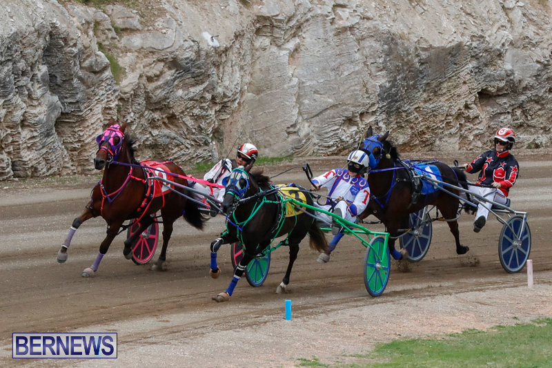 Harness-Pony-Racing-Bermuda-January-28-2018-6488