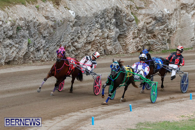 Harness-Pony-Racing-Bermuda-January-28-2018-6489