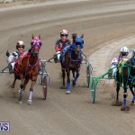 Harness Pony Racing Bermuda, January 28 2018-6496