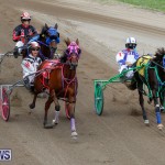 Harness Pony Racing Bermuda, January 28 2018-6499