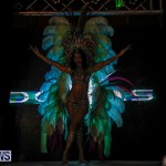 Party People Bermuda Heroes Weekend BHW The Launch, January 14 2018-8682