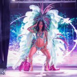 Party People Bermuda Heroes Weekend BHW The Launch, January 14 2018-8788