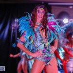 Party People Bermuda Heroes Weekend BHW The Launch, January 14 2018-8831