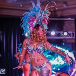 Party People Bermuda Heroes Weekend BHW The Launch, January 14 2018-8839