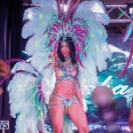 Party People Bermuda Heroes Weekend BHW The Launch, January 14 2018-8884