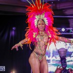 Party People Bermuda Heroes Weekend BHW The Launch, January 14 2018-8952