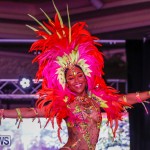 Party People Bermuda Heroes Weekend BHW The Launch, January 14 2018-8959
