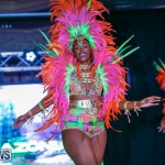 Party People Bermuda Heroes Weekend BHW The Launch, January 14 2018-8983