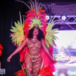 Party People Bermuda Heroes Weekend BHW The Launch, January 14 2018-9032