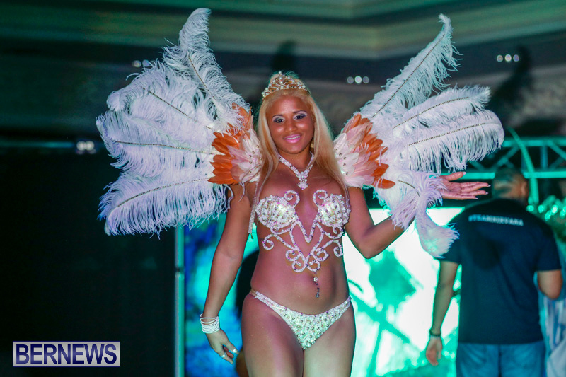 Passion-Bermuda-Heroes-Weekend-BHW-The-Launch-January-14-2018-0667