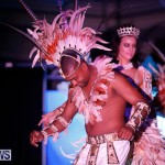 Passion Bermuda Heroes Weekend BHW The Launch, January 14 2018-0734