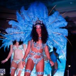 Passion Bermuda Heroes Weekend BHW The Launch, January 14 2018-0788