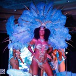 Passion Bermuda Heroes Weekend BHW The Launch, January 14 2018-0829