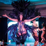 Passion Bermuda Heroes Weekend BHW The Launch, January 14 2018-0939-2
