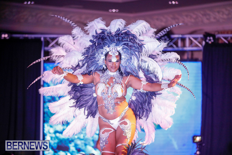 Passion-Bermuda-Heroes-Weekend-BHW-The-Launch-January-14-2018-1026-2
