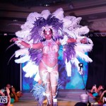 Passion Bermuda Heroes Weekend BHW The Launch, January 14 2018-1040-2