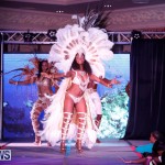 Passion Bermuda Heroes Weekend BHW The Launch, January 14 2018-1310