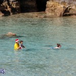 St Georges Rotary Club of Bermuda Polar Bear Swim Bermuda, January 1 2018-9777