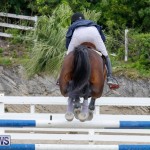 Bermuda Equestrian Federation Stardust Jumper Series, February 3 2018-7266