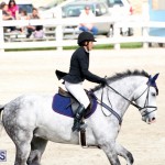 Equestrian Bermuda Feb 28 2018 (2)