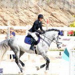 Equestrian Bermuda Feb 28 2018 (3)